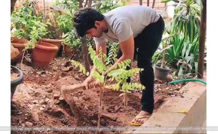 9 గ్రీన్ ఇండియా ఛాలెంజ్ ను స్వీకరించి మొక్కలు నాటిన హీరో అల్లు శిరీష్
