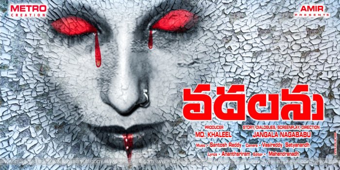 మెట్రో క్రియేషన్స్ బ్యానర్ పై అమీర్ సమర్పణలో \