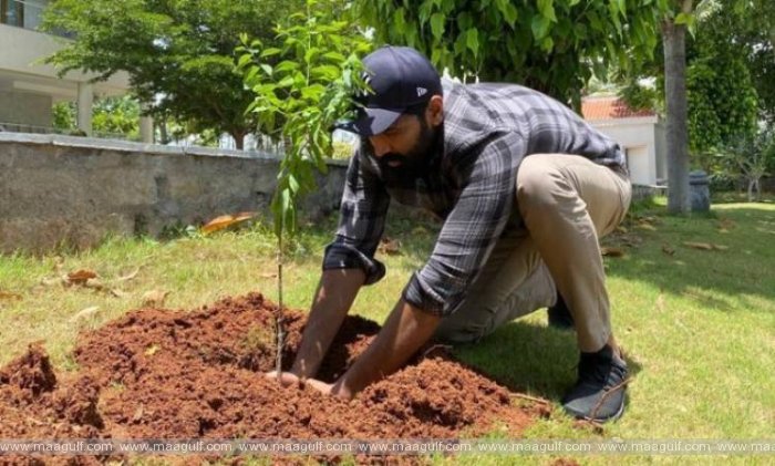 గ్రీన్ ఇండియా ఛాలెంజ్ ను స్వీకరించి మొక్కలు నాటిన హీరో మంచు విష్ణు
