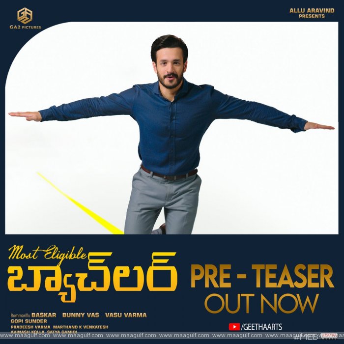 9 \'మోస్ట్ ఎలిజిబుల్ బ్యాచ్లర్\' ప్రీ టీజర్