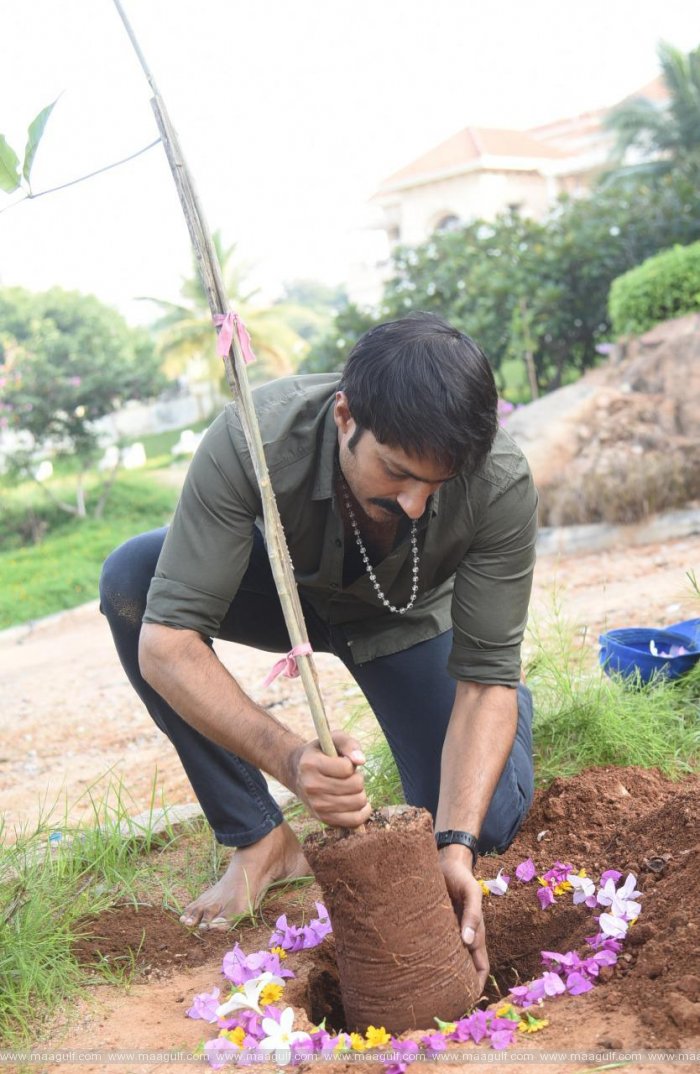గ్రీన్ ఇండియా ఛాలెంజ్ ను స్వీకరించి మొక్కలు నాటిన నటుడు హరిష్ ఉత్తమన్