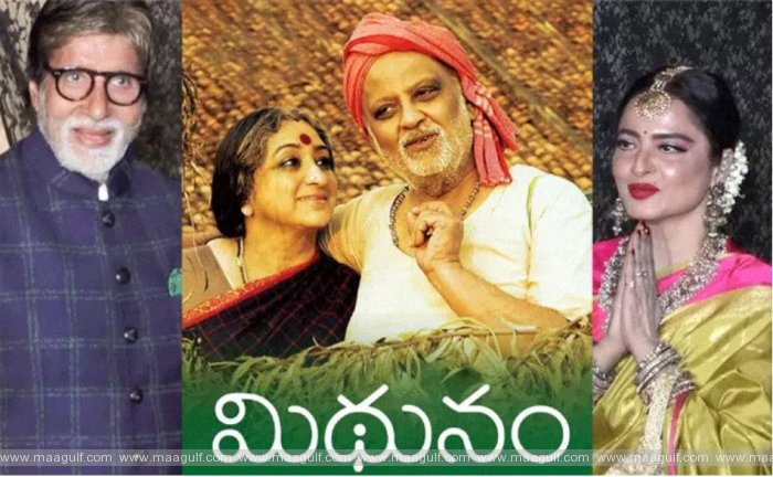 9 మిథునం హిందీలోకి రీమేక్..