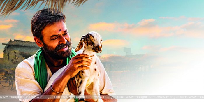 9 \'నారప్ప\' ఫస్ట్ గ్లింప్స్ మీతో పంచుకోవడం గర్వంగా ఉంది - విక్టరి వెంకటేష్