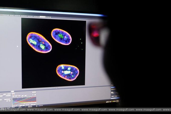 చైనీస్ శాస్త్రవేత్తల అద్భుతం..వృద్ధాప్యాన్ని ఆలస్యం చేసే జన్యు చికిత్స అభివృద్ధి