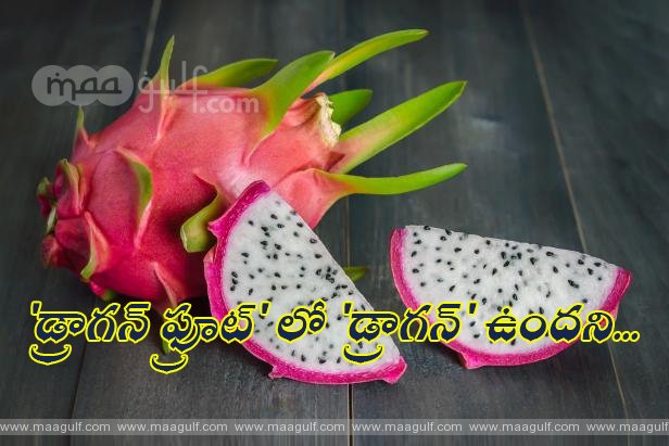 \'డ్రాగన్ ఫ్రూట్\' లో \'డ్రాగన్\' ఉందని పేరు మార్చేశారు