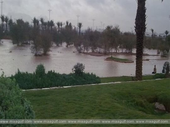 సౌదీ అరేబియాలో భారీ వర్షాలు...హైల్ ప్రాంతాన్ని ముంచెత్తిన వరద