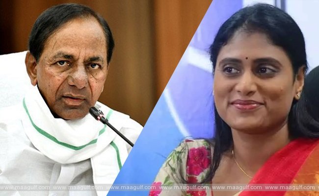 1 షర్మిల కొత్త పార్టీ పై కేసీఆర్ స్పందన