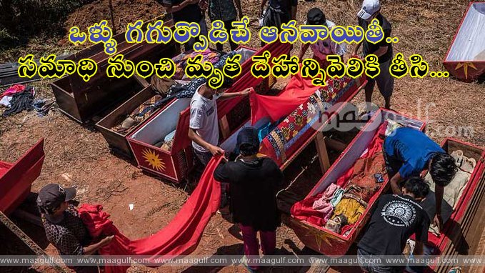 1 ఒళ్ళు గగుర్పొడిచే ఆనవాయితీ..సమాధి నుంచి మృత దేహాన్నివెలికి తీసి...