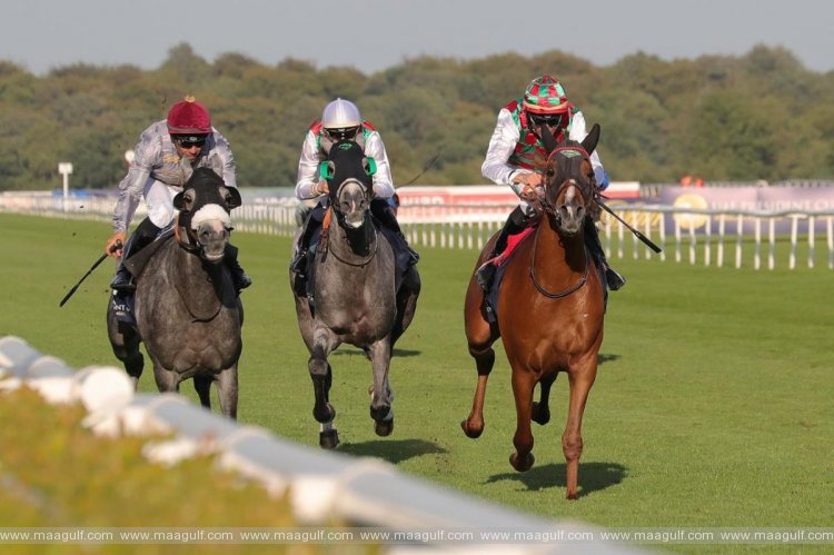 UAE, Saudi Arabia and Bahrain to Hold Regional Racing Talks in 2021