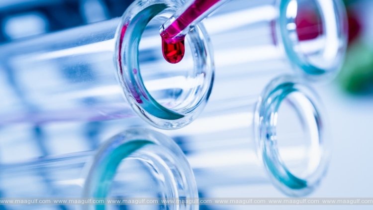 మహారాష్ట్రలో 278 కరోనా మరణాలు