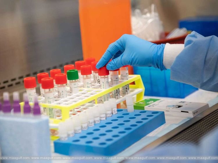 తెలంగాణ కరోనా అప్డేట్