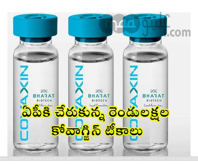 ఏపీకి చేరుకున్న రెండులక్షల కోవాగ్జిన్ టీకాలు