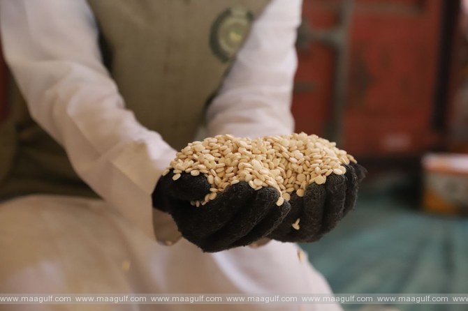 యాంఫిటమిన్ పిల్స్, ఫైర్ ఆర్మ్స్ కలిగి వున్న సౌదీ జాతీయుడి అరెస్ట్