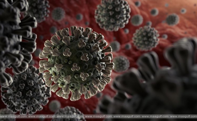 తెలంగాణలో కరోనా కేసుల వివరాలు