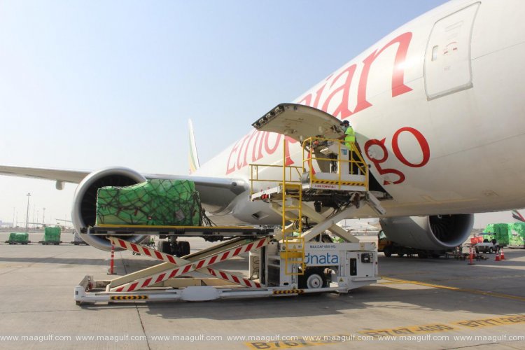 Sheikh Mohammed orders humanitarian aid flight to volcano-hit Goma in Democratic Republic of the Congo