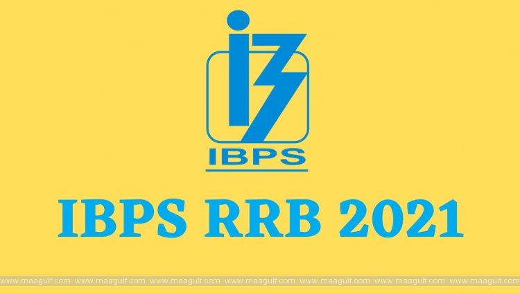 పెరిగిన IBPS ఆర్ఆర్బీ పోస్టులు..