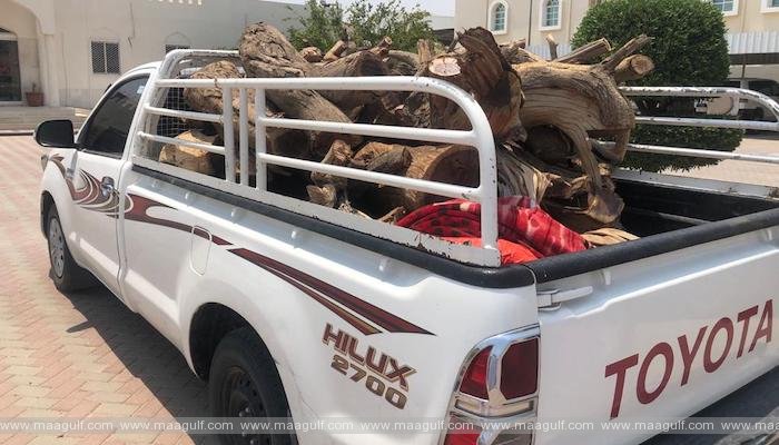 అనుమతి లేకుండా వుడ్ కటింగ్: పలువరి అరెస్ట్