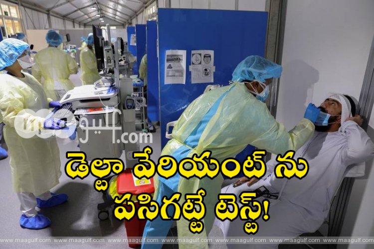 డెల్టా వేరియంట్ ను పసిగట్టే టెస్ట్!