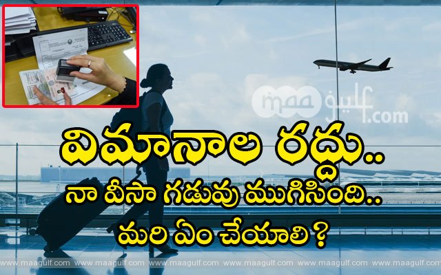విదేశాల్లో చిక్కుకుపోయి వీసా గడువు ముగుస్తుంటే ఏం చెయ్యాలి?