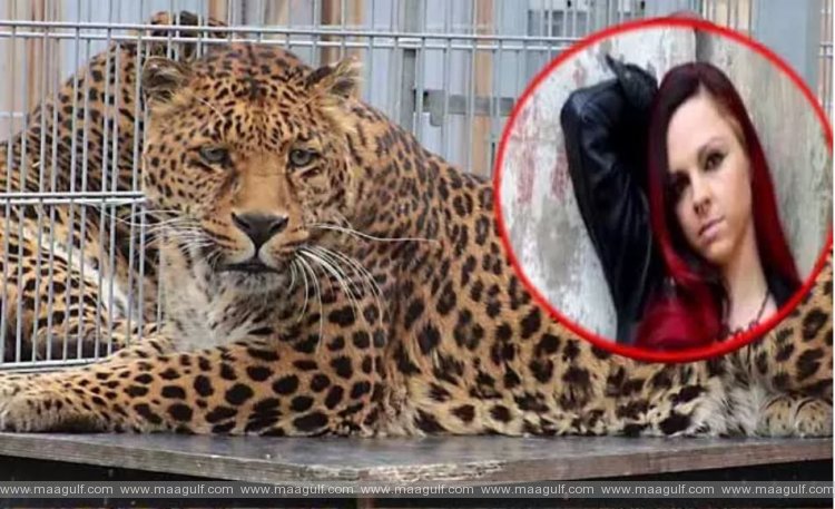 పులితో ఫోటో దిగాలనుకున్న ప్రముఖ మోడల్‌...