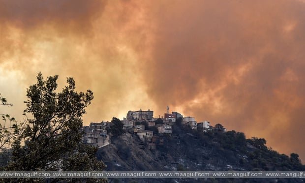 అల్జీరియా: కార్చిచ్చులో 42 మంది మృతి