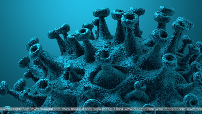 460 నుంచి 129కి తగ్గిన కోవిడ్ ఐసీయూ పేషెంట్లు