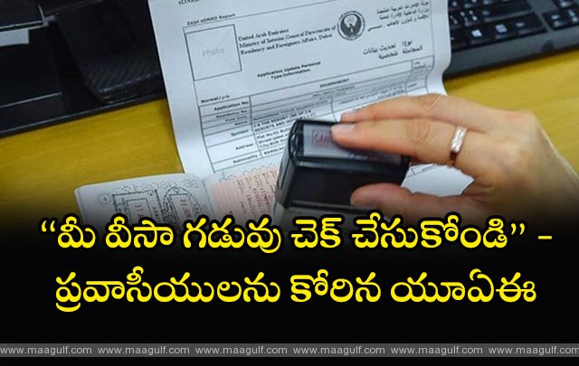 వీసా గడువు చెక్ చేసుకోండి..ప్రవాసీయులకు యూఏఈ సూచనలు