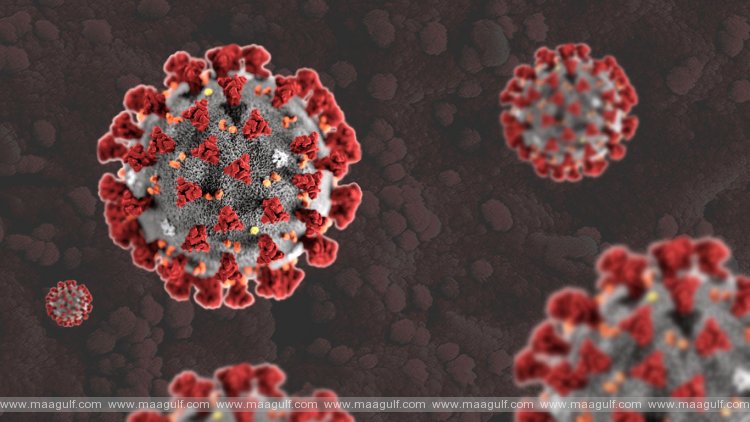 ఏపీ కరోనా అప్‌డేట్..