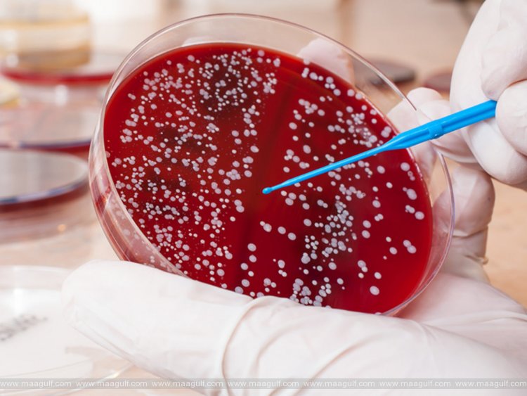 బ్లడ్ క్యాన్సర్ చికిత్సలో కార్ టి టెల్ థెరపీ సామర్థ్యాన్ని పరీక్షించనున్న యూఏఈ