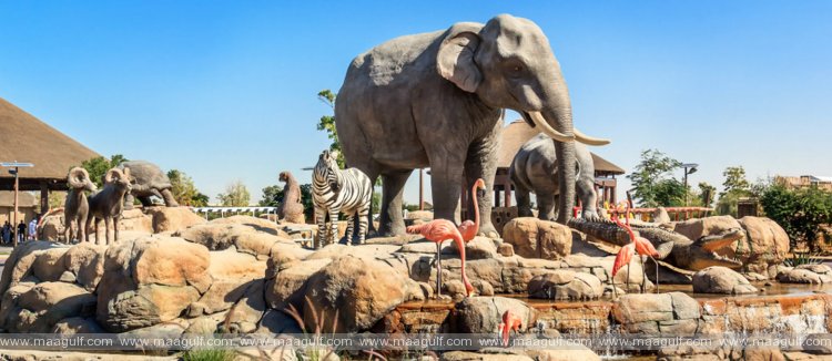 Dubai Safari Park’s new season to begin on September 27