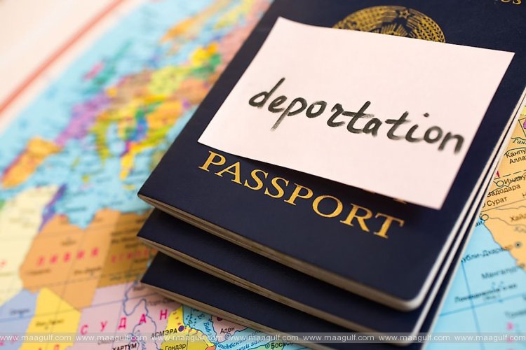 మానసిక అనారోగ్యంతో బాధపడే వలసదారులు దేశం విడిచి వెళ్ళాలని ఎంపీ సూచన