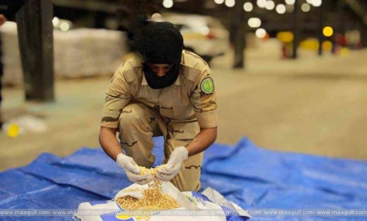 అల్-బథా పోర్టులో భారీగా డ్రగ్స్ స్వాధీనం