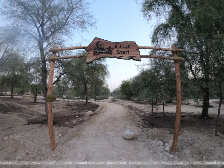Dubai Municipality completes first phase of 50km mountain-bike track in Mushrif National Park