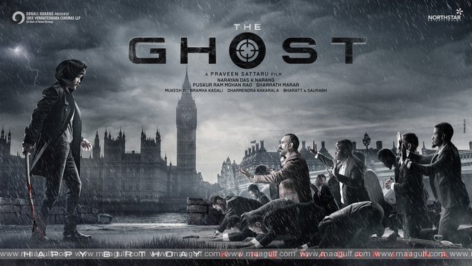 నాగార్జున కి హీరోయిన్ సమస్య