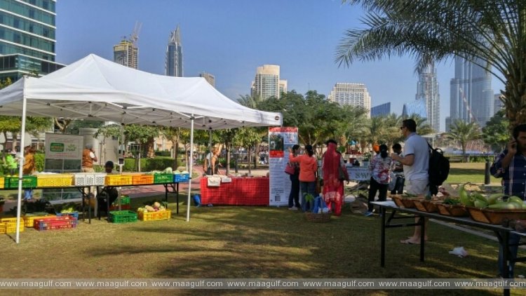 First Farmers’ Souq at Nakheel Park