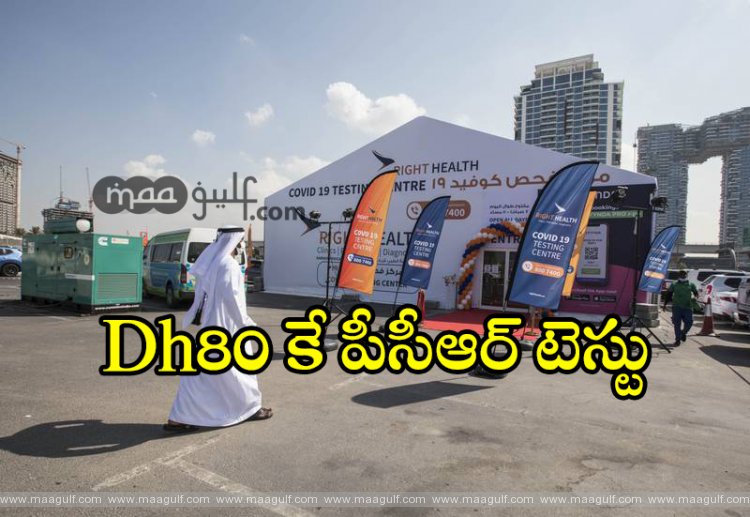 Dh80 కే పీసీఆర్ టెస్టు