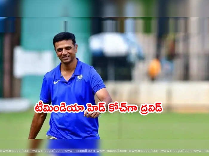 టీమిండియా హెడ్ కోచ్‌ గా రాహుల్‌ ద్రవిడ్‌