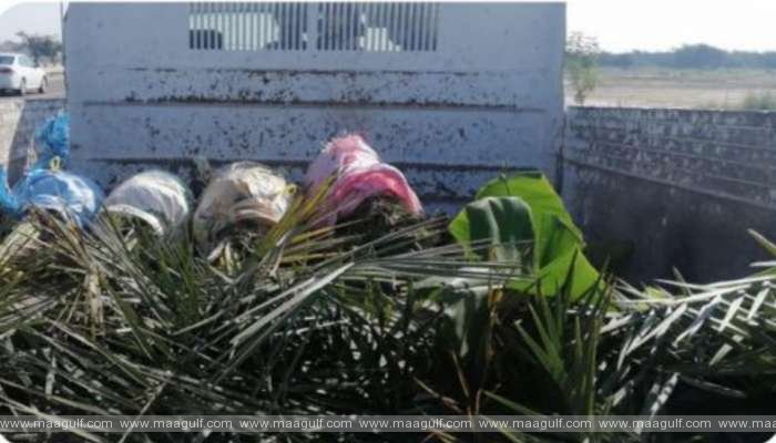 ఖర్జూర వృక్షాల భాగాల విక్రయం: పౌరుడి అరెస్ట్