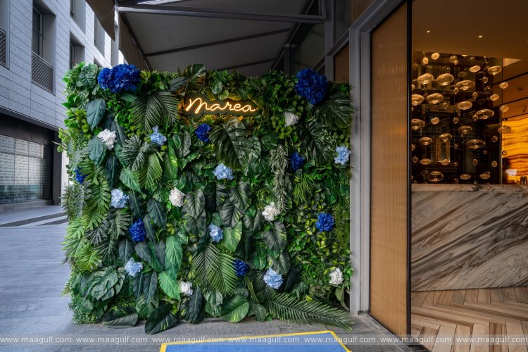 Celebrate New Year’s Eve with Live Entertainment at Marea, DIFC