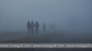 తెలుగు రాష్ట్రాల్లో చలి పులి