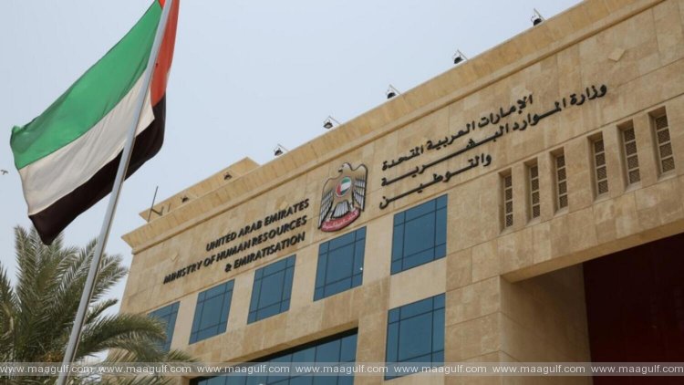 డొమెస్టిక్ వర్కర్స్ కోసం మూడు కొత్త సర్వీసులు ప్రారంభం