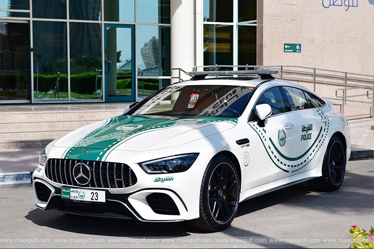 దుబాయ్ రోడ్లపై నగ్నంగా తిరుగుతున్న మానసిక రోగి అరెస్ట్