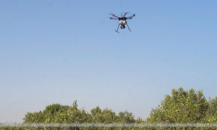 UAE stops all drone activities in the country
