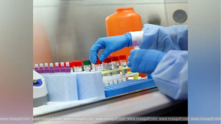 తెలంగాణ కరోనా అప్డేట్