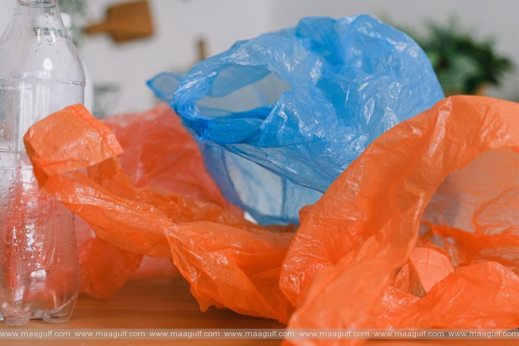The Executive Council of Dubai approves policy to limit single-use bags