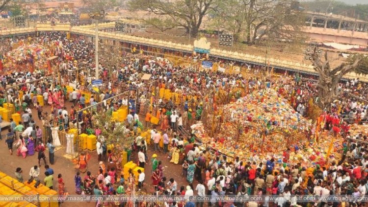 మేడారం జాతర