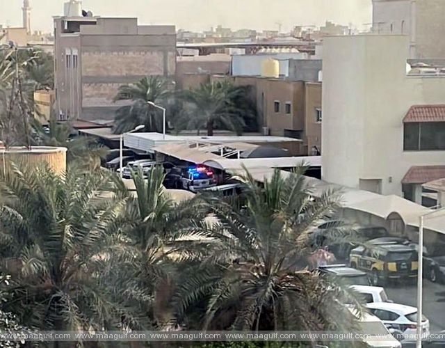 అర్దియా హత్యలు: పనిమనిషికి కస్టడీ