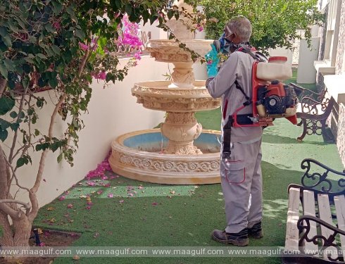 దోమలపై పోరాటం: ప్రజలకు మస్కట్ మునిసిపాలిటీ విజ్ఞప్తి