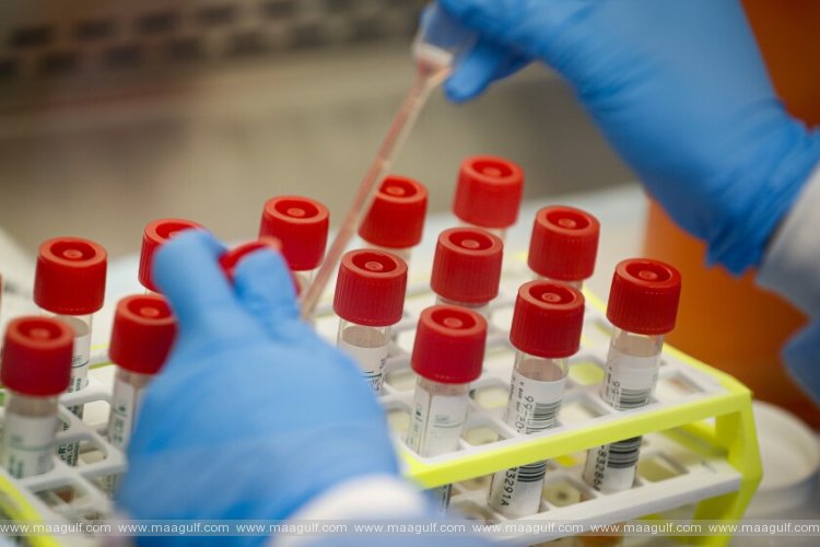 ఏపీ కరోనా అప్డేట్: కరోనా ఫ్రీ దిశగా ఎనిమిది జిల్లాలు..