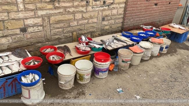 గడువు ముగిసిన ఆహార పదార్థాల్ని విక్రయిస్తున్న వ్యాపారుల అరెస్ట్